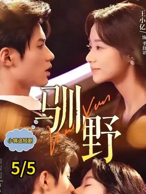 白塔 职场现实题材电视剧